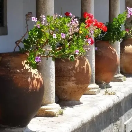 Casa Shally Villa